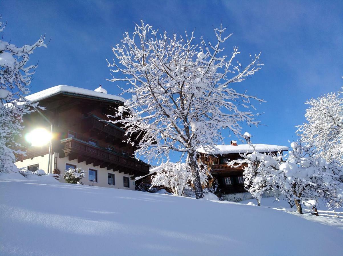 Vila Vordersattlegghof Hüttau Exteriér fotografie
