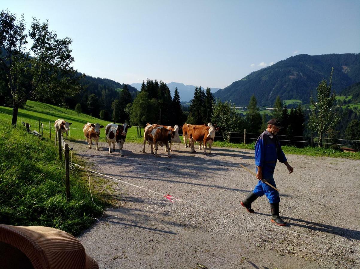 Vila Vordersattlegghof Hüttau Exteriér fotografie